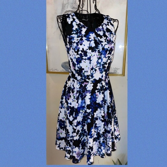 EXPRESS~FLORAL CHIFFON FIT & FLARE DRESS~BLACK,BLUE,WHITE,PINK~SLEEVELESS~0 - Picture 1 of 4